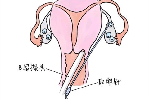 http://lanzhou.huochezhan.net/post/205.html|兰州供卵助孕