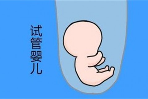 培养兰州捐卵宝宝艺术细胞的小技巧