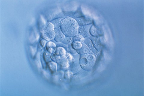 http://lanzhou.huochezhan.net/post/200.html|兰州新闻中心