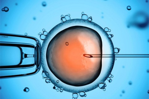 http://lanzhou.huochezhan.net/post/199.html|兰州供卵助孕